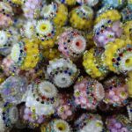 Diamond Beads Lucky Bags - Open In Live