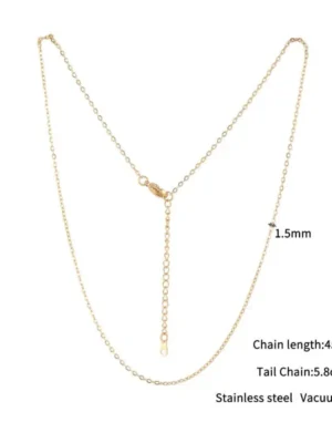 Stainless Steel Choker Chain