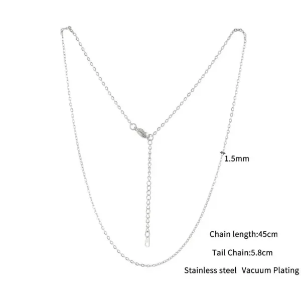 Stainless Steel Choker Chain